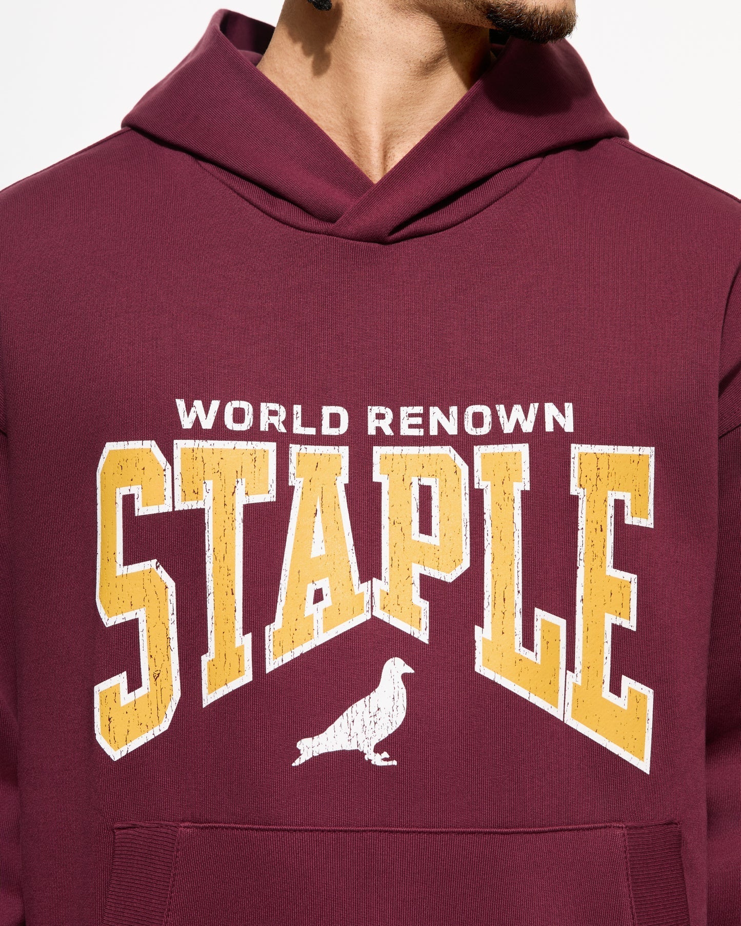 Staple Pigeon
