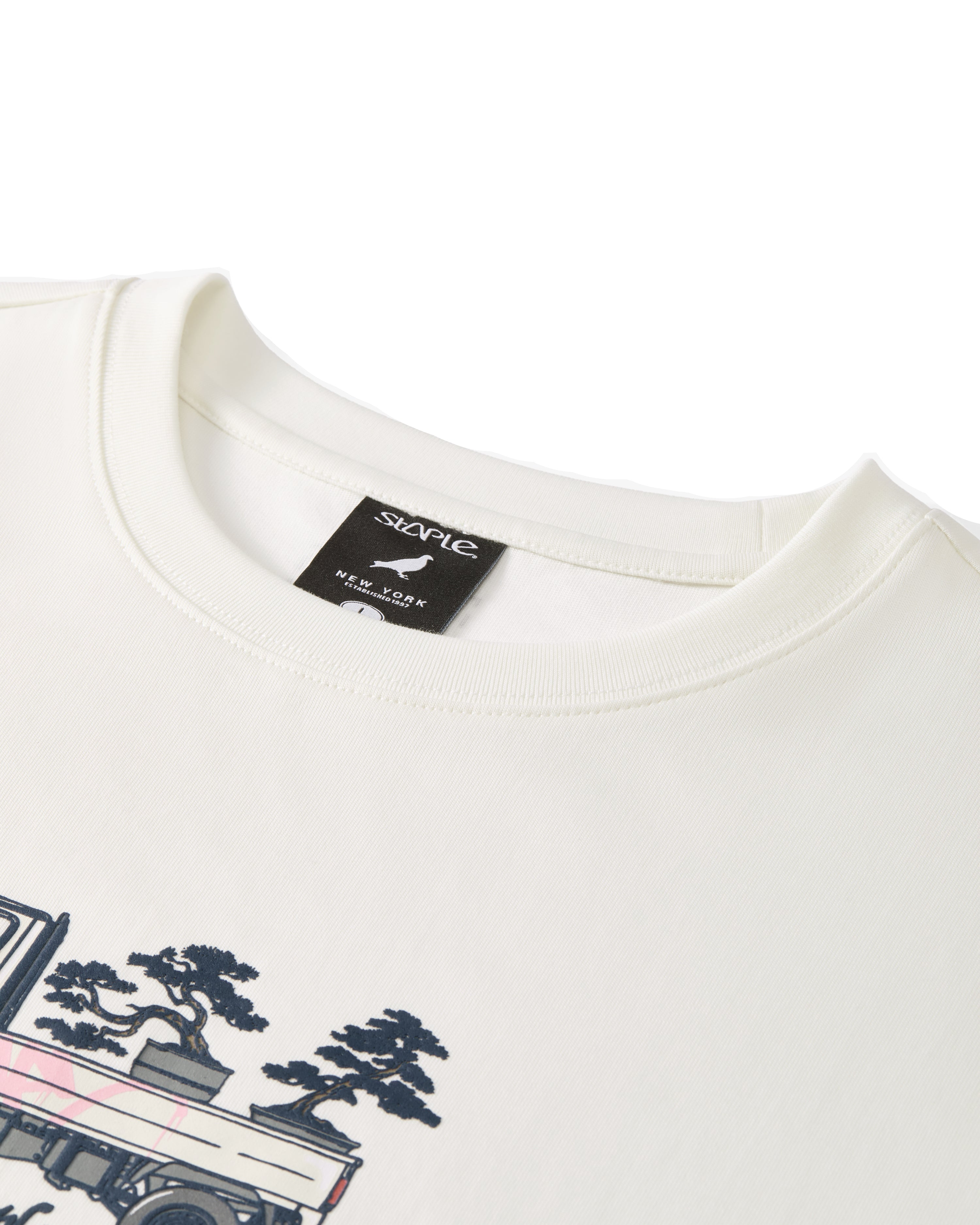 Camiseta Staple Pigeon Bonsai Delivery Tee