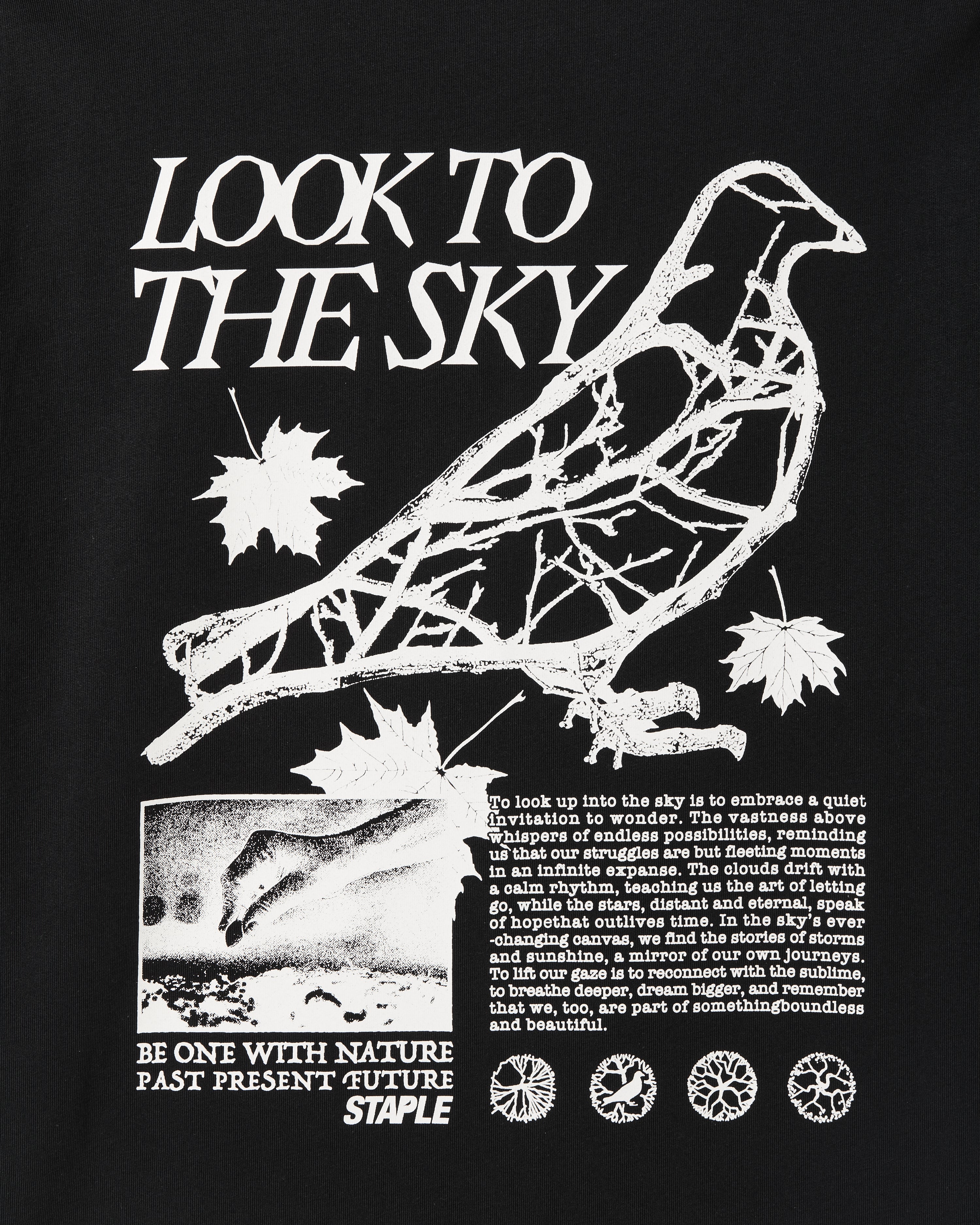 Camiseta Staple Pigeon Juniper Graphic Tee Negro detalle gráfico espalda Look To The Sky