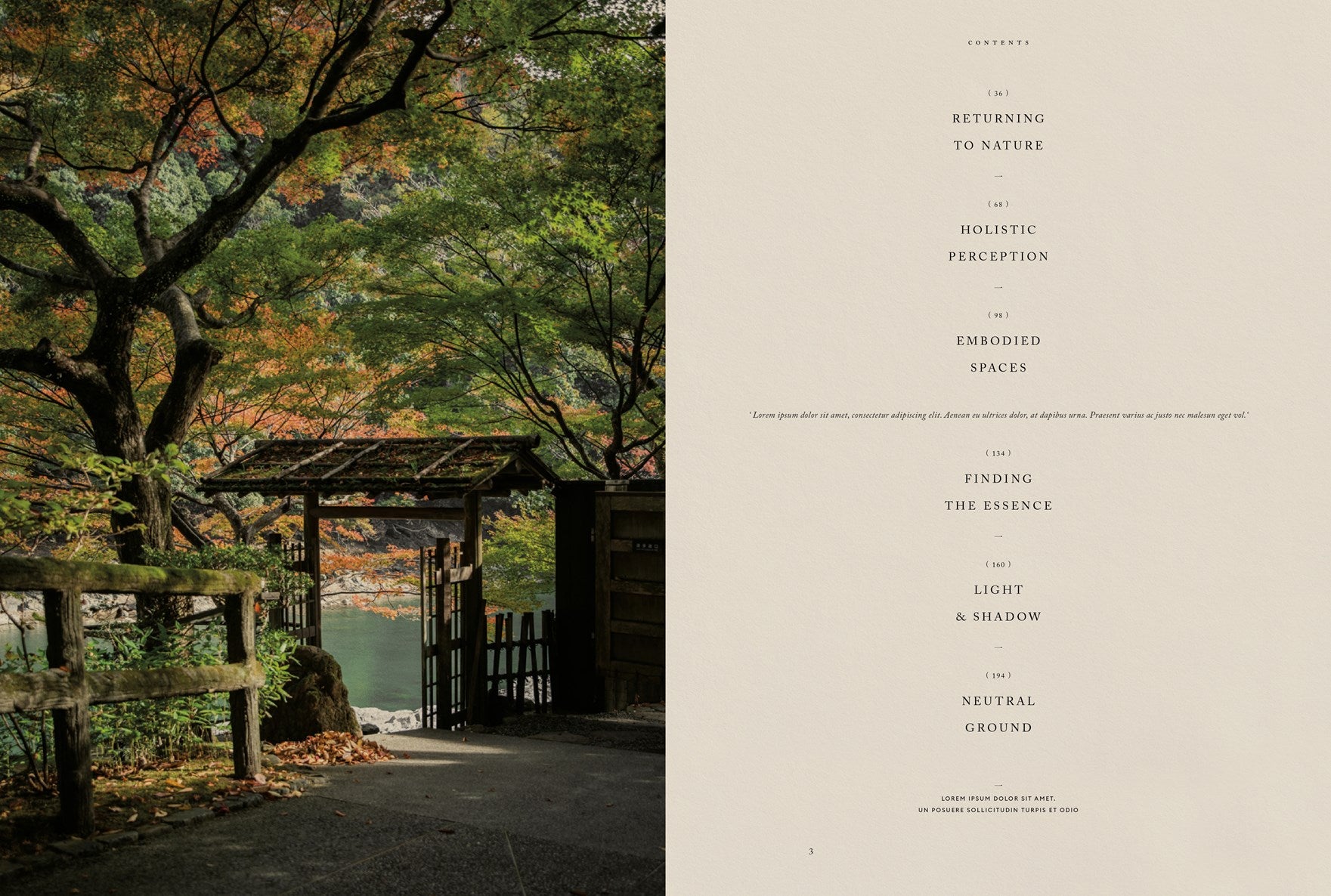 Stillness Rizzoli