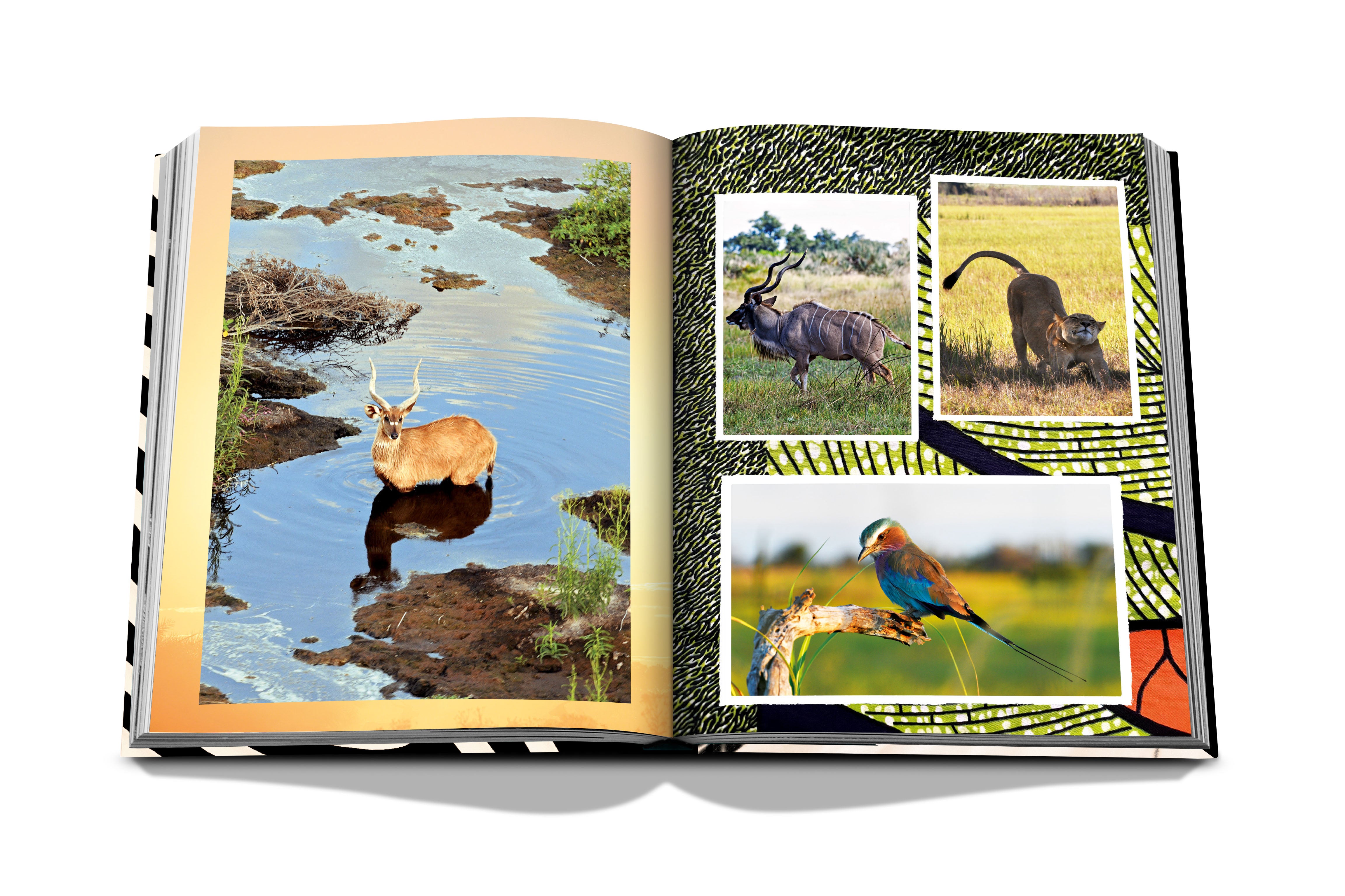 The Greatest Safari On Earth Assouline