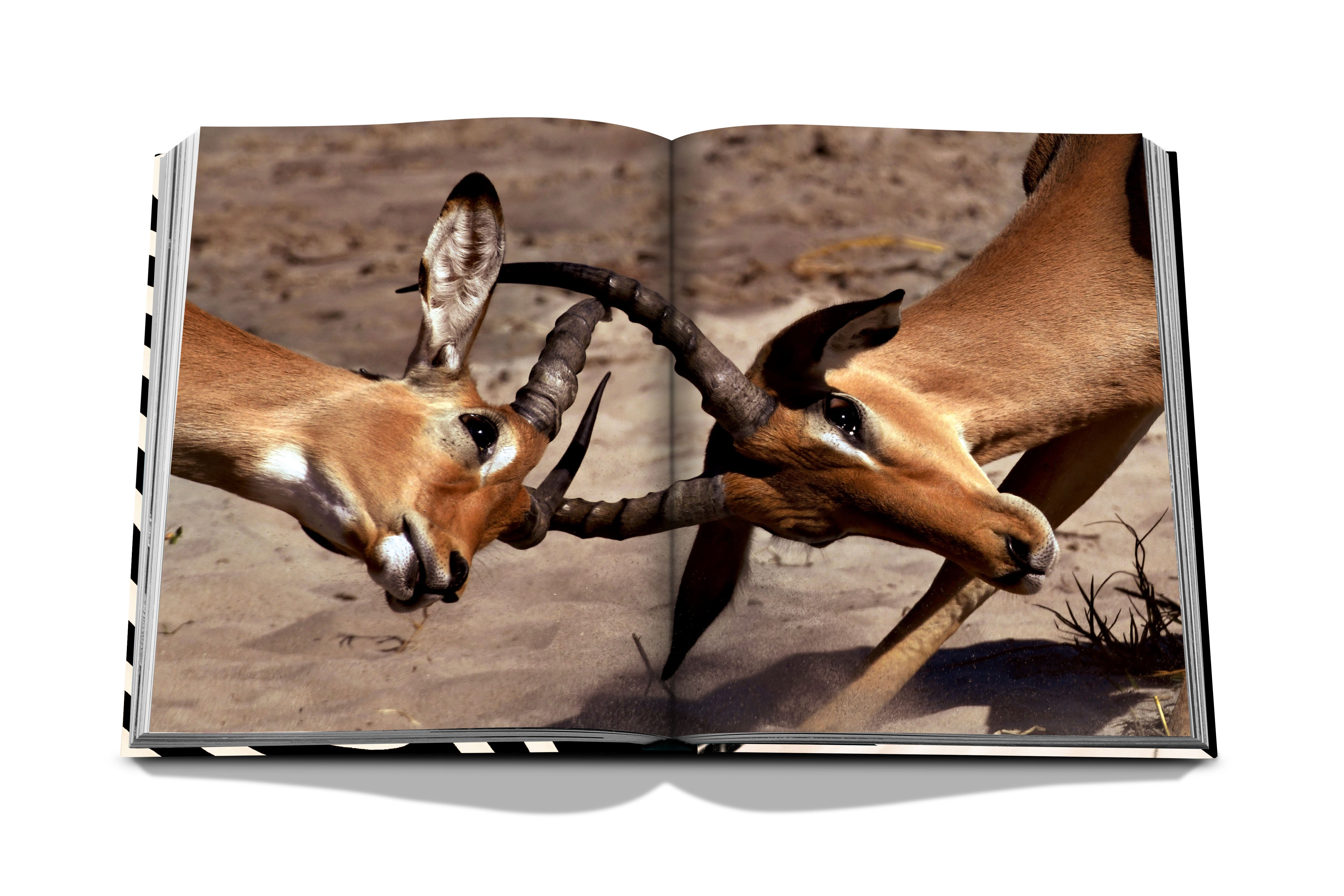 The Greatest Safari On Earth Assouline