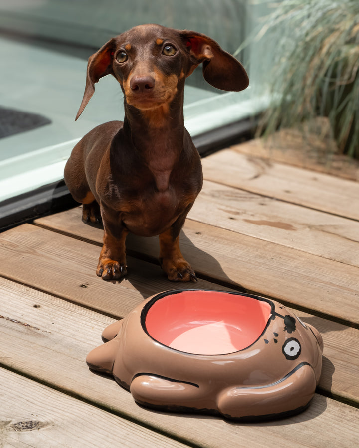 Perro salchicha sentado en una terraza de madera junto al comedero Dog Bowl marrón y rosa