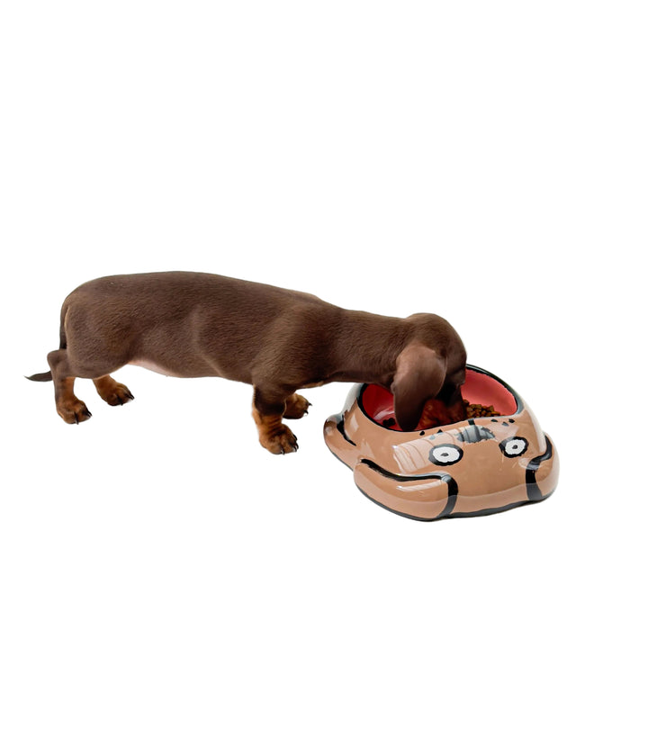 Perro salchicha marrón comiendo del comedero Dog Bowl de cerámica de Jean Jullien x Home Studyo