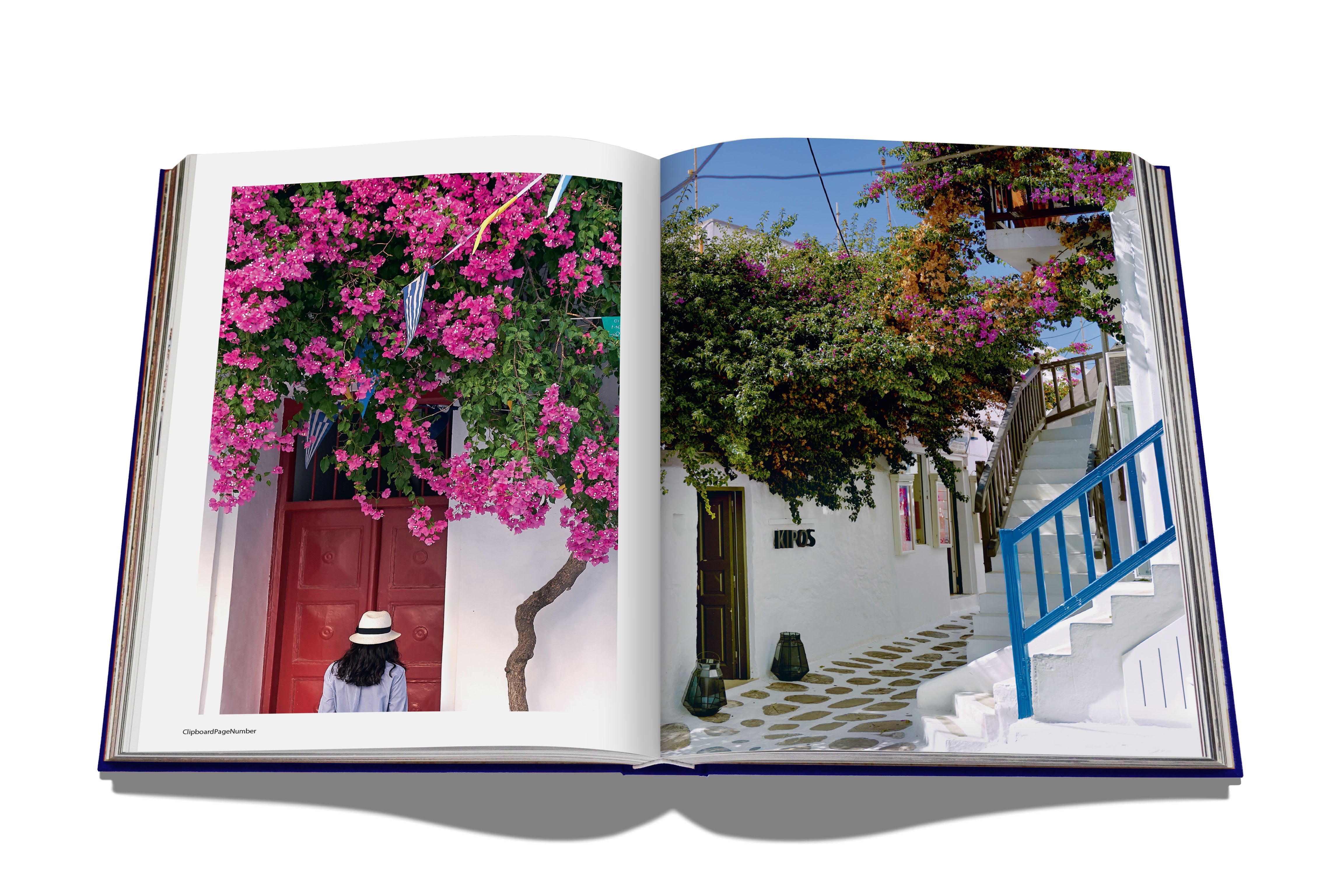 Mykonos Muse Assouline
