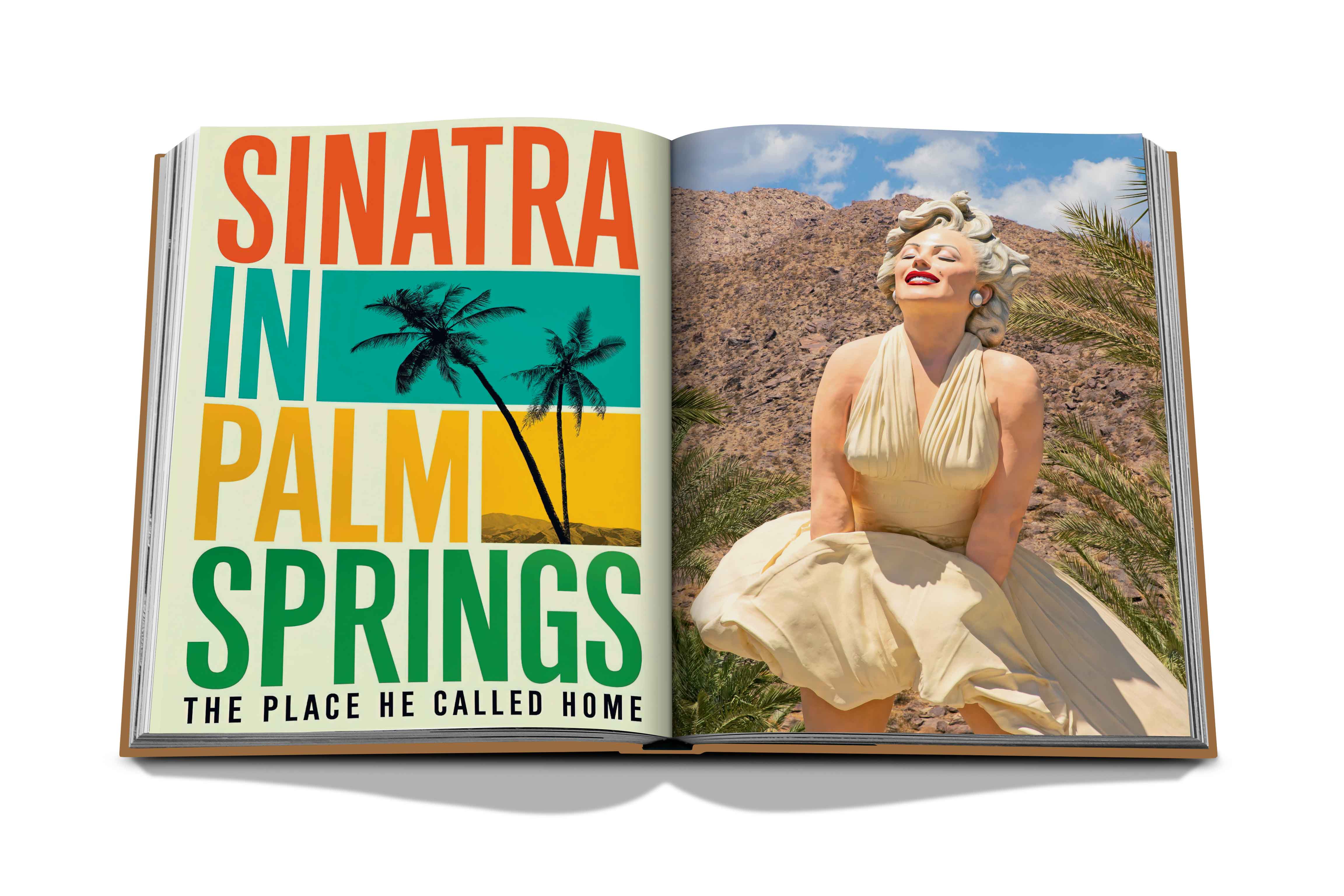 Palm Springs Assouline