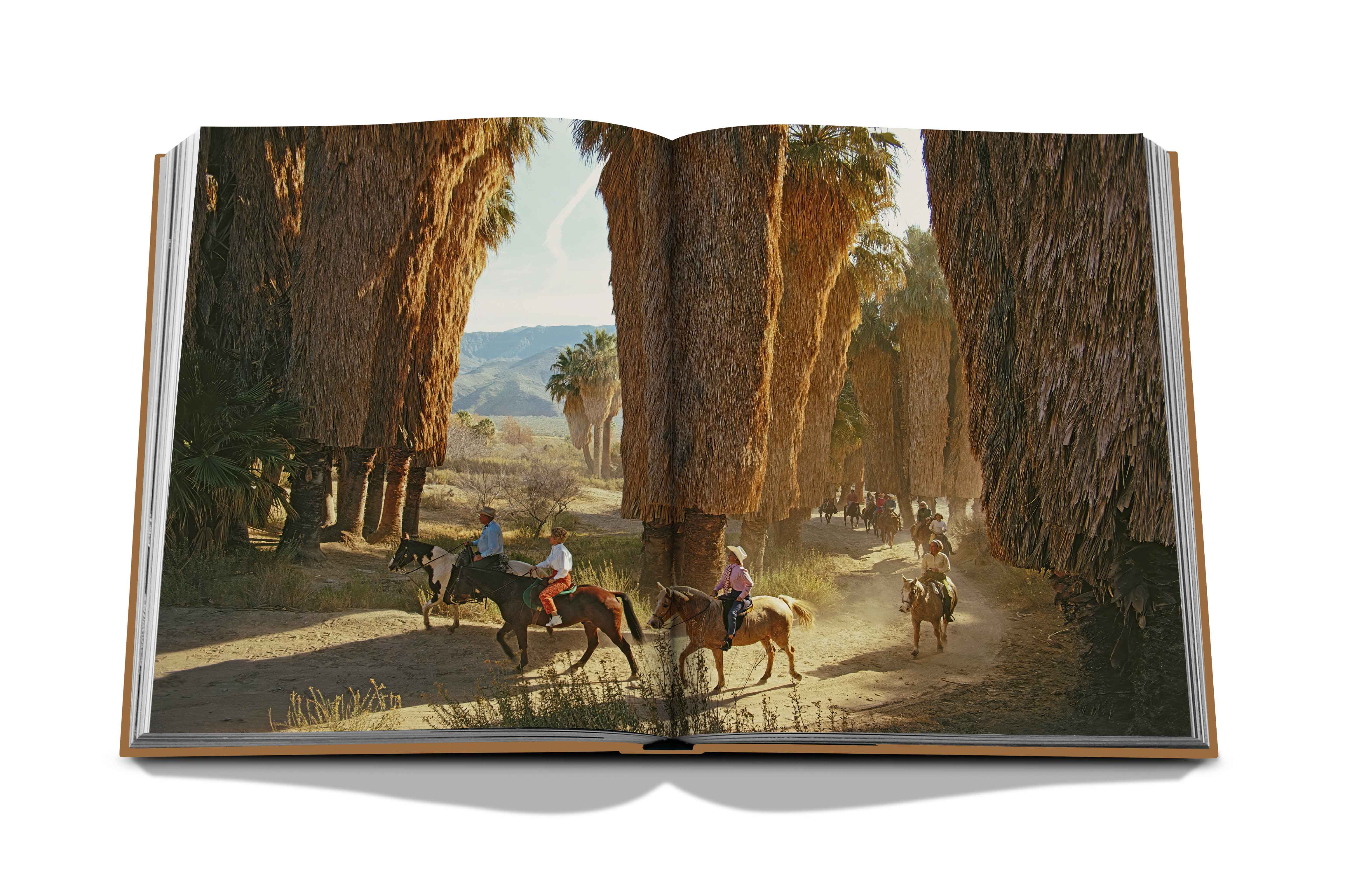 Palm Springs Assouline