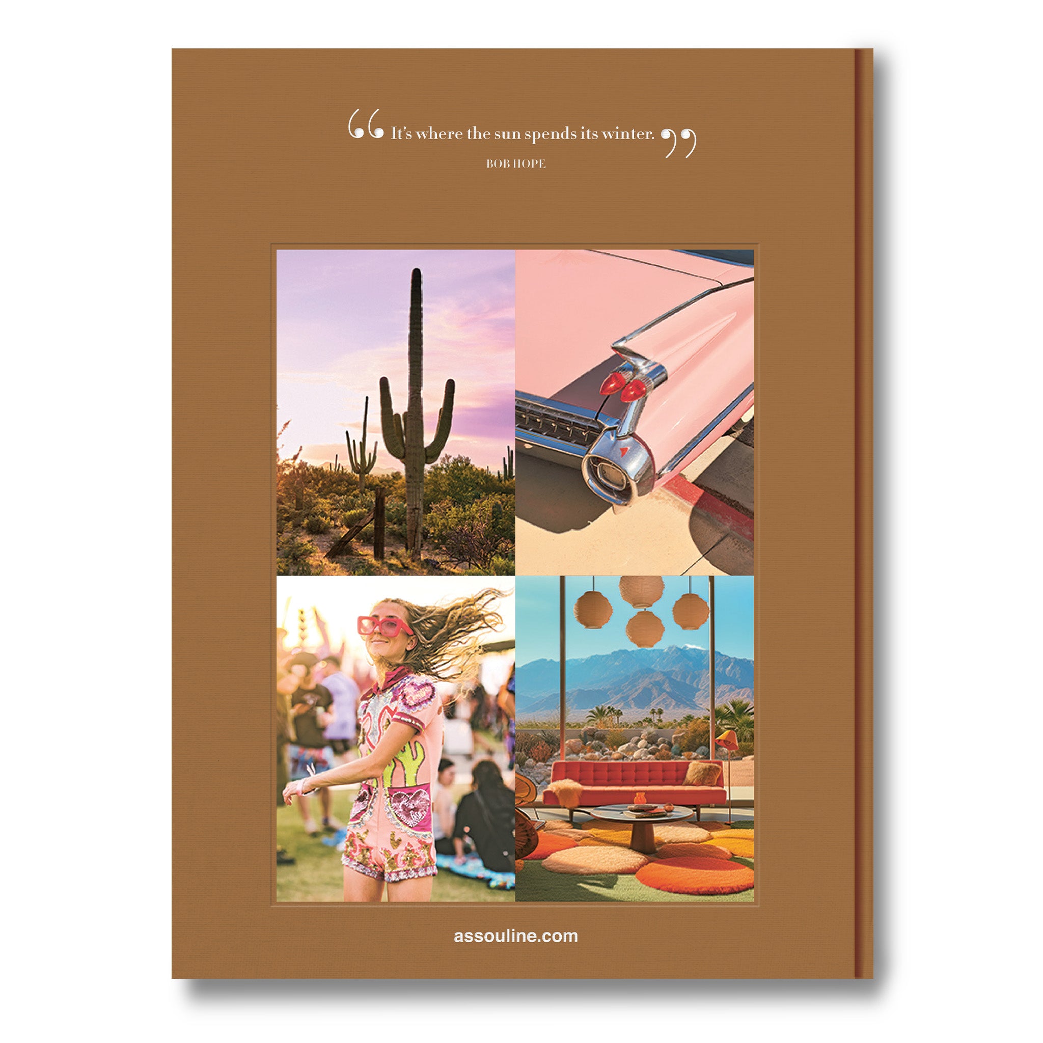 Palm Springs Assouline