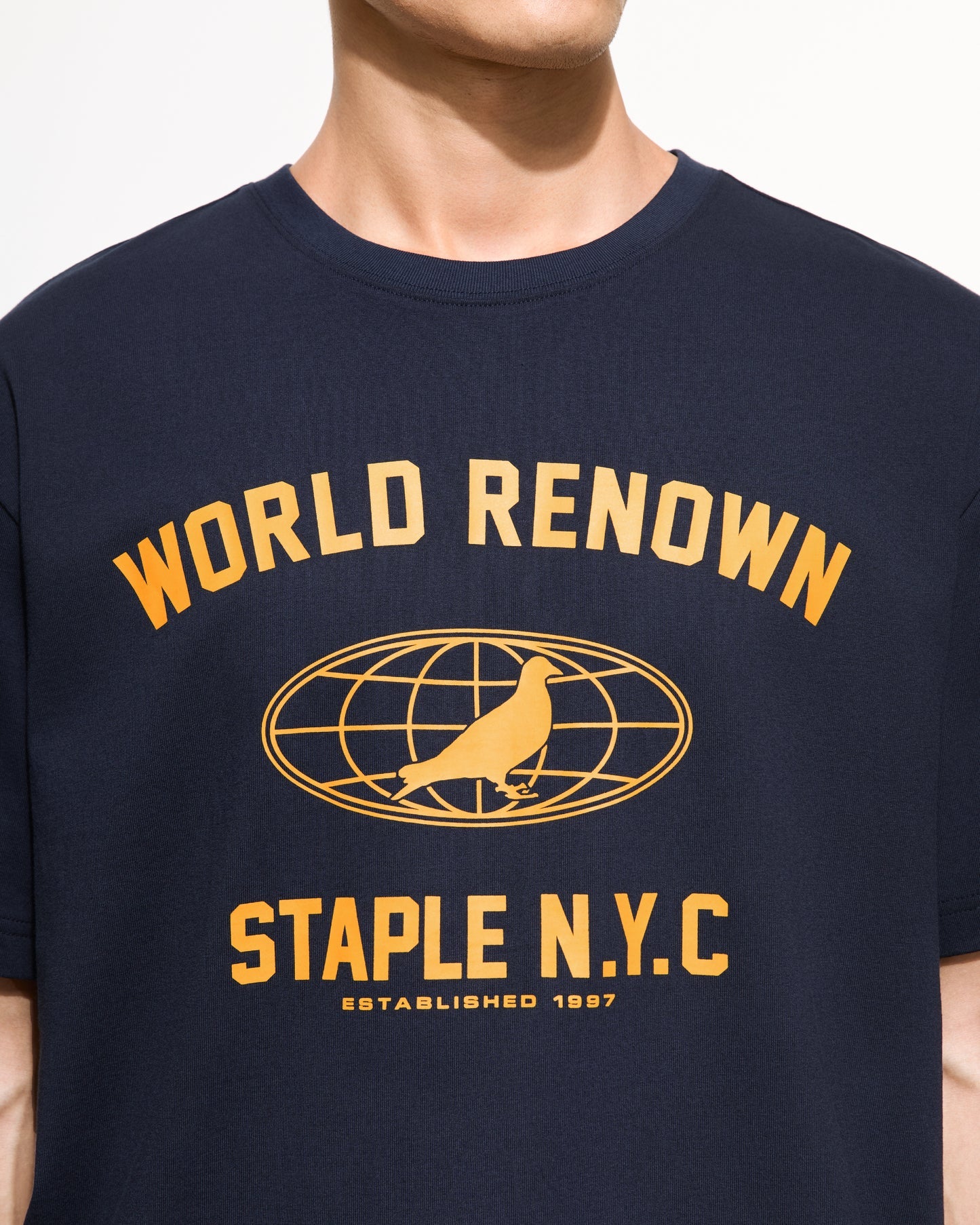 Camiseta Staple Worldwide Pigeon Navy